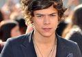 Harry Styles "One Direction" Garap Album Solo