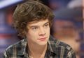 Harry Styles Dilempari Sepatu!