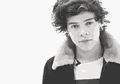 Harry 'One Direction' Bagikan Pizza Gratis Untuk Para Tunawisma
