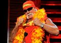 Hulk Hogan Pernah Ingin Jadi Bassis Metallica