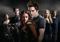 Syuting The Twilight Saga Breaking Dawn Diprotes
