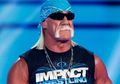 Hulk Hogan Ditawari Gabung Metallica