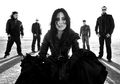 The Fallen: Evanescence Versi Baru