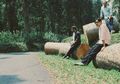 5 Album Indie Pop Lokal Keren yang Bisa Kamu Download Gratis di Bandcamp