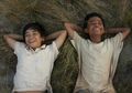 10 Film Indonesia Tersukses Sepanjang Masa