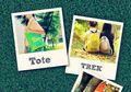 Triks BaGoes dan Campaign-nya