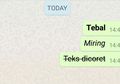 8 Fitur di WhatsApp Yang Masih Aja Ada Yang Nggak Tau