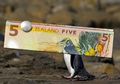 Dollar New Zealand jadi Mata Uang Terkeren di Dunia