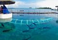 Selain Pulau Pari Atau Tidung, Ini 5 Pulau Keren Lain Di Kepulauan Seribu Yang Asik Buat Dikunjungi!