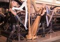Keren! Dengan 3 Harpa, 2 Cewek Kembar Ini Mainkan Lagu Metal Black Sabbath