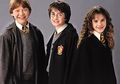 Begini Wujud Transformasi Para Pemain Harry Potter Dulu dan Sekarang