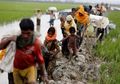 Anak Muda Mesti Tau, Ini 5 Fakta tentang Kejadian Rohingya di Myanmar