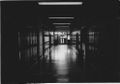 Cerita Horor di 3 Sekolah Wilayah Tangerang. Ada Yang Diganggu Hantu Atap Toilet. Hii
