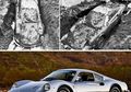 10 Penemuan Ajaib Dari Halaman Rumah. Dari Telur Dinosaurus Hingga Ferrari