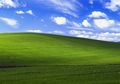 Fotografer Wallpaper Windows XP Ternyata Nyesel Jual Fotonya Gitu Aja ke Microsoft, Kenapa ya?