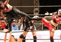 Perusahaan Gulat Jepang Ini Pegulatnya Cewek Semua, dan Lebih Intens dari WWE