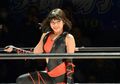 Hana Kimura, Pegulat Jepang Muda Keturunan Indonesia, Meninggal Dunia