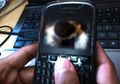Video Mesum Siswi MTs Dilakukan di Hutan
