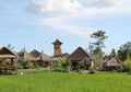 Tanah Hak Milik di Bali Semakin Terbatas!