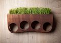 Grass Brass Siap Semarakkan Interior Rumah