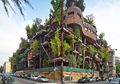 Rumah Pohon Bergaya Urban untuk Mengatasi Polusi Kota