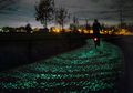 Semen Glow in The Dark Mampu Menerangi Jalanan Tanpa Listrik