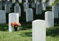 Rumah Dekat dengan Makam? Ini Dia Kata Feng Shui