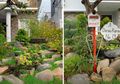 Enggak Hanya Album, Inspirasi Taman Ala Korea Bisa Kamu "Koleksi" di Rumah