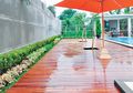 Inilah 5 Kayu yang Tahan Cuaca, Cocok untuk Luar Rumah