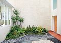 Mau Menghijaukan Rumah Tapi Lahan Minim? Ini Dia Caranya!