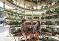 The Growroom 'Si Bola Hutan' Tempat Menghirup Udara Bak Pedesaan di Tengah Kota