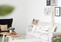 Simpel Tetap Menawan Hati, Ini Inspirasi Desain Rumah Dengan Wall Decor