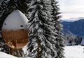 Wow! Rumah Pohon Berbentuk Buah Pinus Ini Unik Banget, Bikin Pengen Nginep!