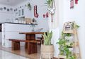 Dinding Cantik dengan Dekorasi Piring Hias pada Dapur Minim Milik @Earlytitania