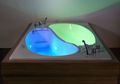 Bathtub Yin Yang Untuk Pasangan