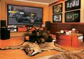4 Hal Sekaligus yang Kamu Bisa Lakukan di Home Theater Ini