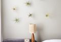 3 Alternatif Aksesori Dekoratif Untuk Kamar