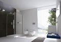 Trik Jitu Toilet Bebas Mampet