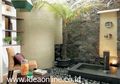 Taman Tropis dengan Kelapa Bonsai