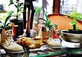 Kreatif! Barang Bekas Jadi Pot Tanaman