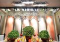 Unsur Hijau di Dalam Ruangan