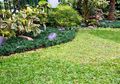 Taman Rumput Tiga Warna