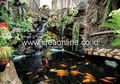 Taman di Atas Septic Tank