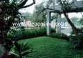 Kanopi Alami, Si Peneduh Rumah