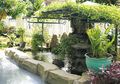 Pergola Cantik Untuk Taman Kecil