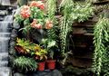 Taman Penyaring Bau Tak Sedap