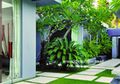 Melindungi Rumput dengan Menanam Pijakan