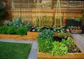 Taman Mungil dengan Planting Box