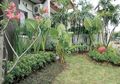 Taman Cantik dan Mudah Dirawat