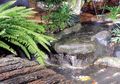 Taman Kolam yang Menenangkan
